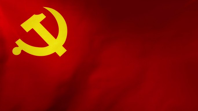 高速升格党旗 党徽实拍