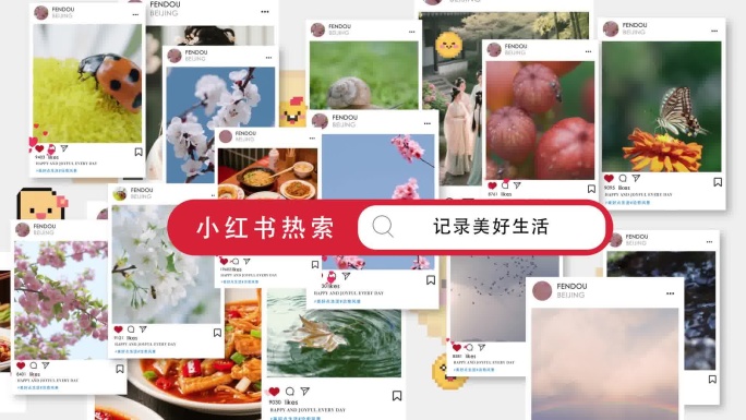 小红书 新媒体数据 图片页面展示 社交