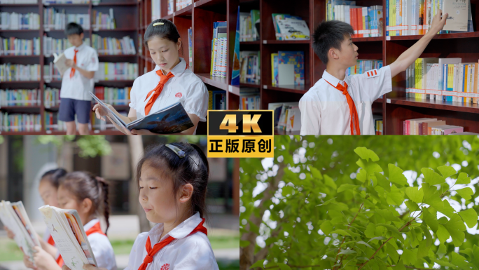 4K校园图书馆学生阅读
