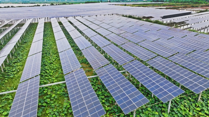 光伏与农业【4K原创】