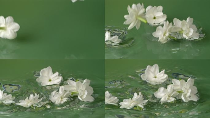 清新茉莉花水面漂浮