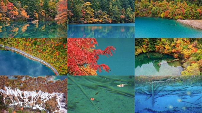 四川阿坝九寨沟秋色秋景航拍