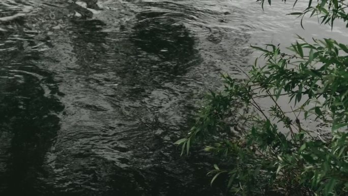 享受一个宁静的水景，四周被美丽的郁郁葱葱的绿植环绕。