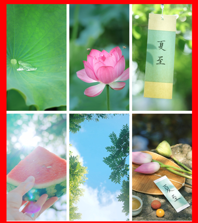 夏至竖版视频 夏至竖屏 夏至节气 夏天