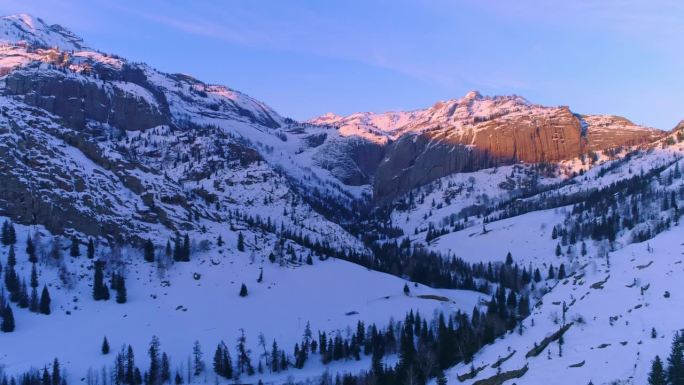 冬季雪景航拍镜头：新疆阿勒泰地区的针叶林。