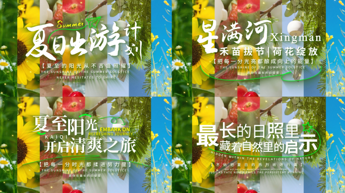 夏日清新唯美夏至标题字幕展示片头AE模板