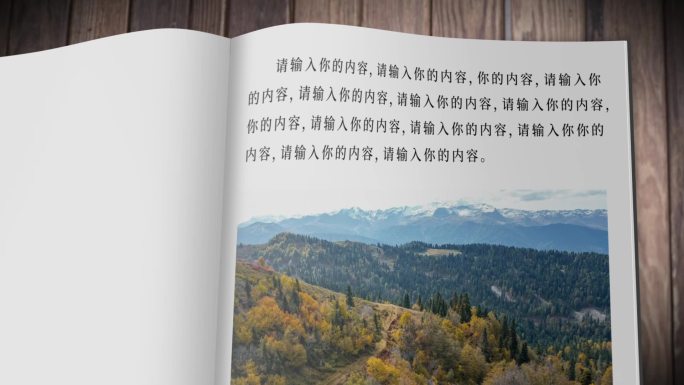 简约书籍翻书翻页画册（无插件）