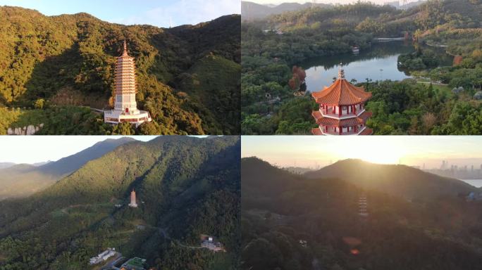 深圳仙湖植物园航拍合集