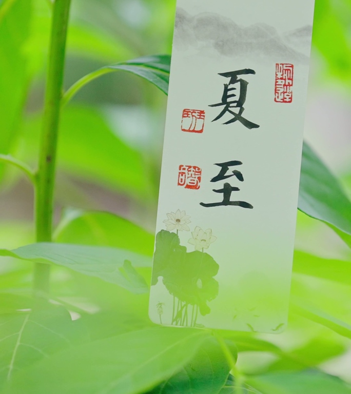 夏至夏至节气夏日苏打水小清新冷饮气泡夏天