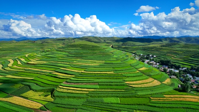【4K】甘南卓尼梯田航拍 万亩尕湾梁梯田