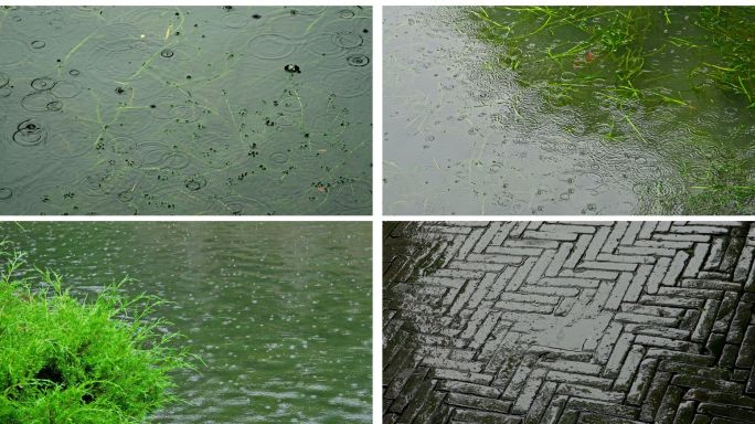 下雨水面涟漪雨水小雨