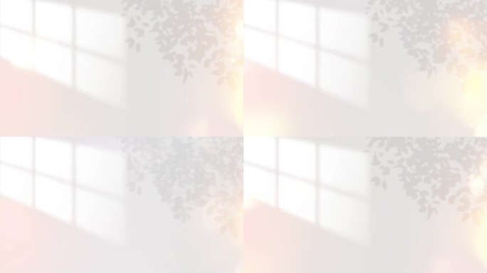 白金光影背景