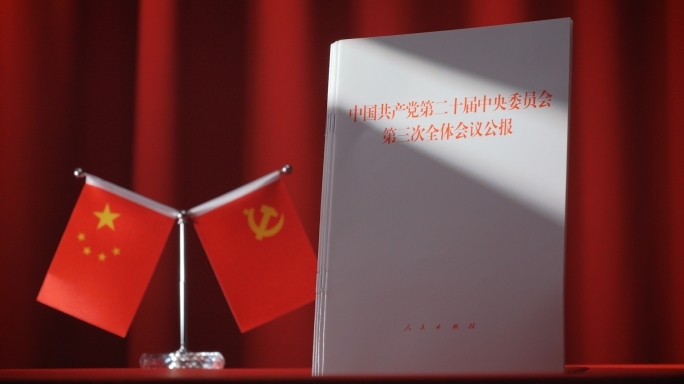 二十届三中全会学习全会精神