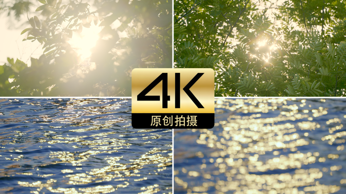 夏天黄昏湖面微风阳光