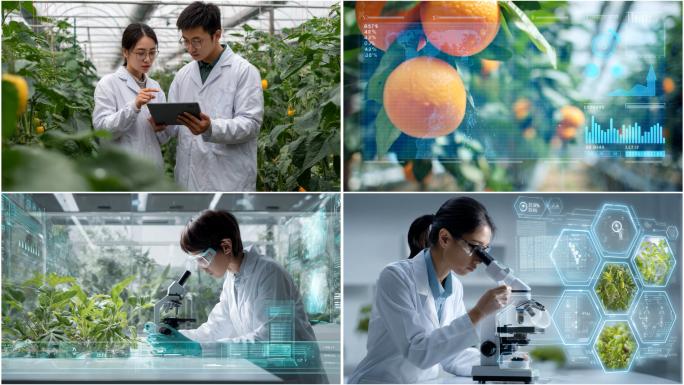 AI人工智能农业科技创新未来农业科研探索