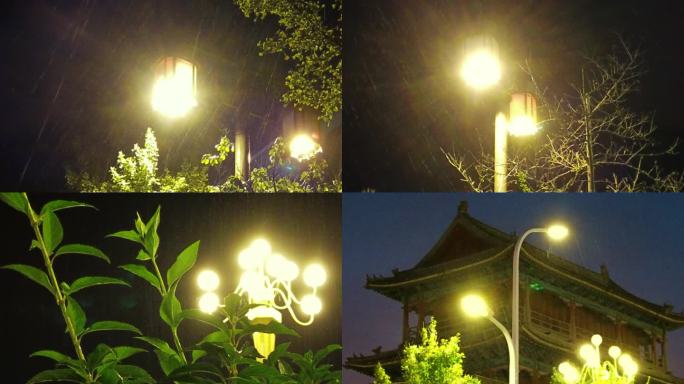 降雨天的路灯绿荫街景