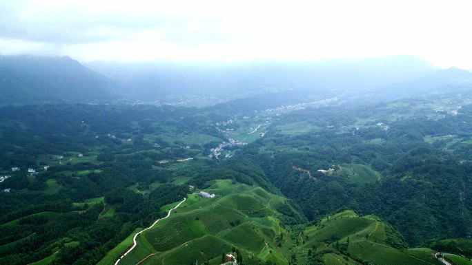 云雾缭绕的山峦风光-X