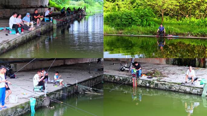 钓鱼  河边垂钓休闲时光