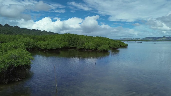 热带沿海地区的红树林海洋景观