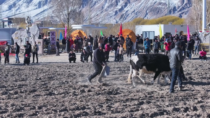塔县帕米尔高原肖贡巴哈尔节播种春季