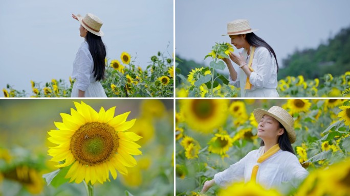 向日葵花田中漫步的少女