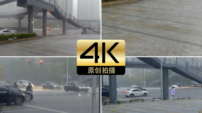 狂风暴雨大暴雨