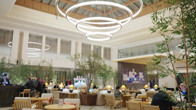 星级酒店大堂吧 高级酒店商务区
