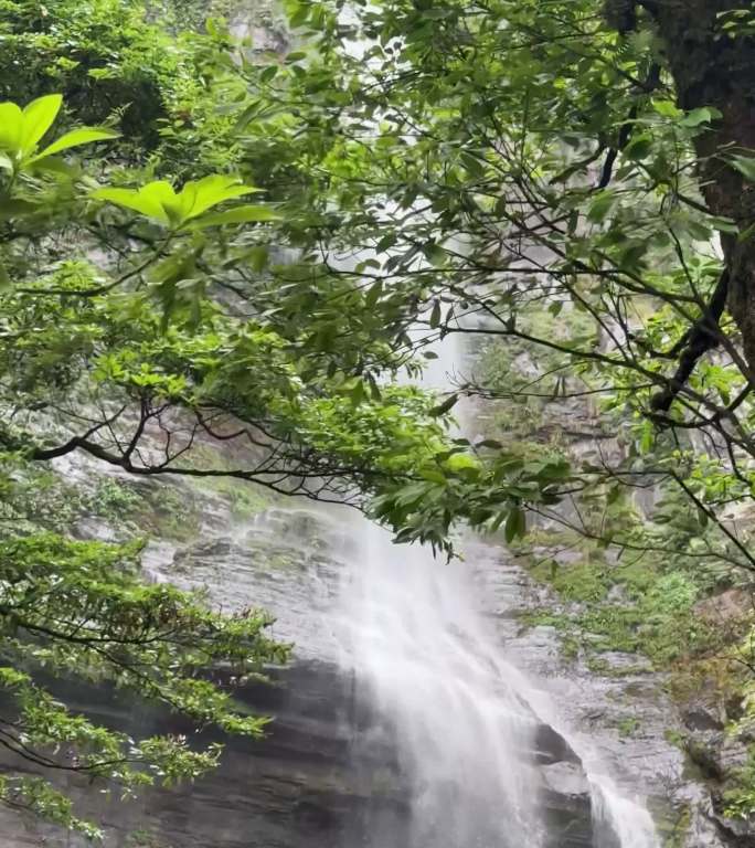 雨后森林瀑布景观