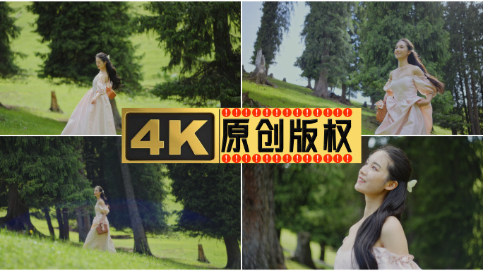新疆伊犁旅拍写真阿克塔斯草原森林看书