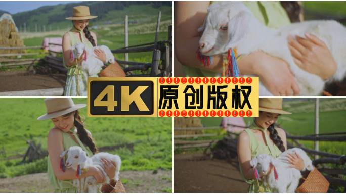 新疆伊犁旅拍抱着小羊羔山羊拍照