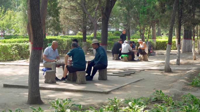老人在公园里下棋打牌
