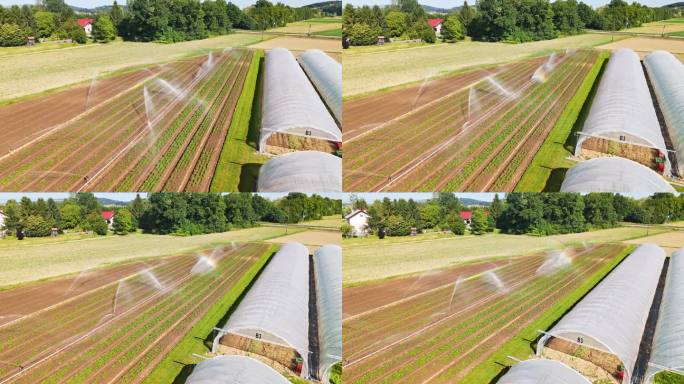 航拍镜头：温室和灌溉系统在田地上喷洒水。