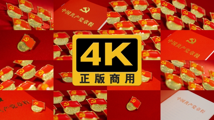 党红色党政党员党徽党建党章