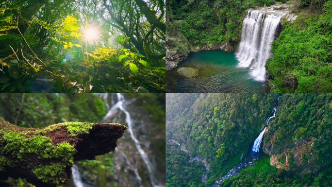 森林瀑布泉水 自然风景