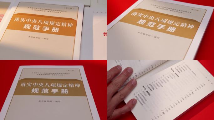 落实中央八项规定精神规范手册