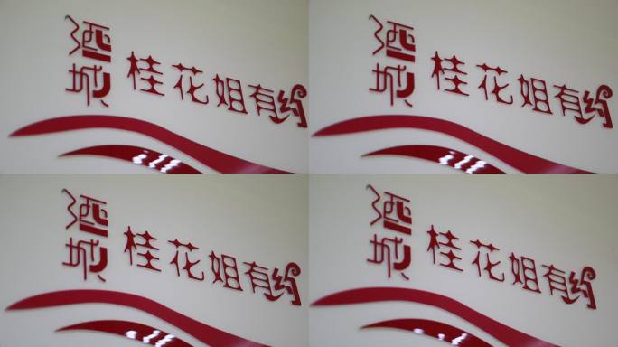 桂花姐有约品牌宣传