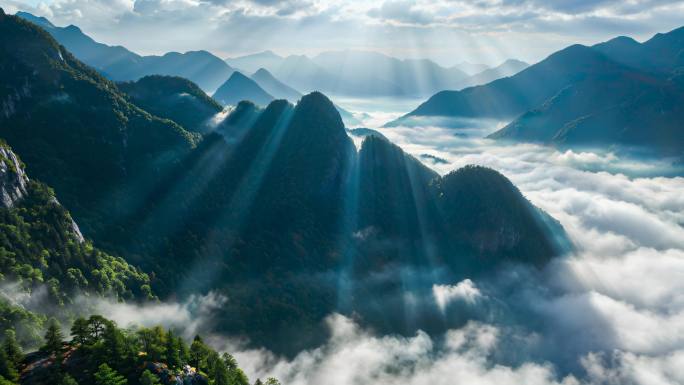 山脉航拍森林树木山脉云海绿洲环保氧吧