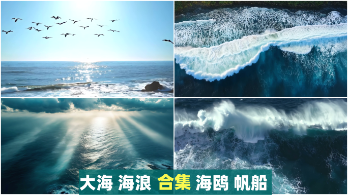 大海航拍大海海浪航拍海浪升格海洋海鸥海底