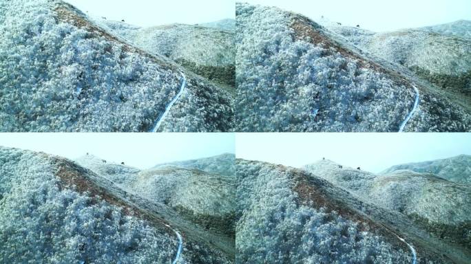冬季雪山航拍-H