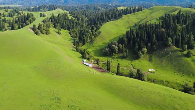绿色草原山峦风光