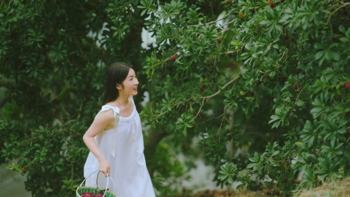 采摘杨梅的清新少女 品尝杨梅 表情享受