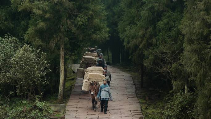 茶马古道 丝绸之路 马帮运输 驼铃古道