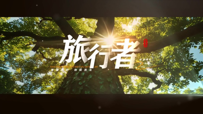 震撼宣传片文字字幕