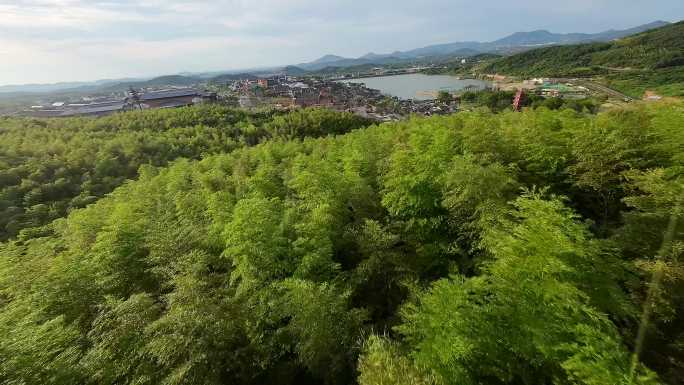 江苏无锡宜兴窑湖小镇竹林穿越机FPV