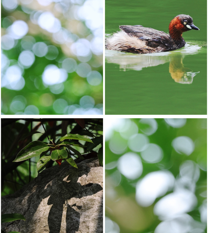 竖屏 夏日阳光光影光斑唯美小清新