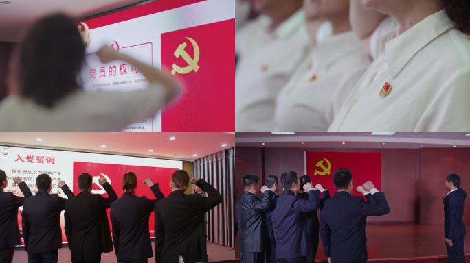 党员庄严的入宣誓