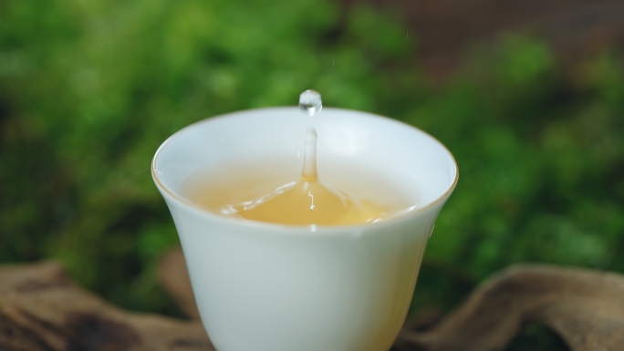 4k茶汤茶倒茶意境泡茶茶叶喝茶茶杯茶文化