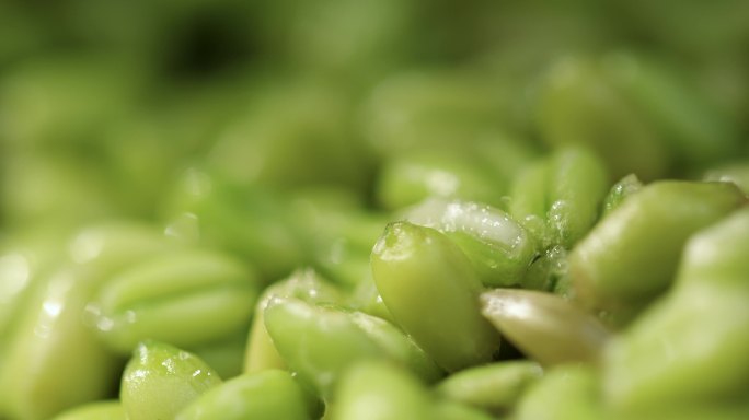 小麦 青麦仁 春小麦 19