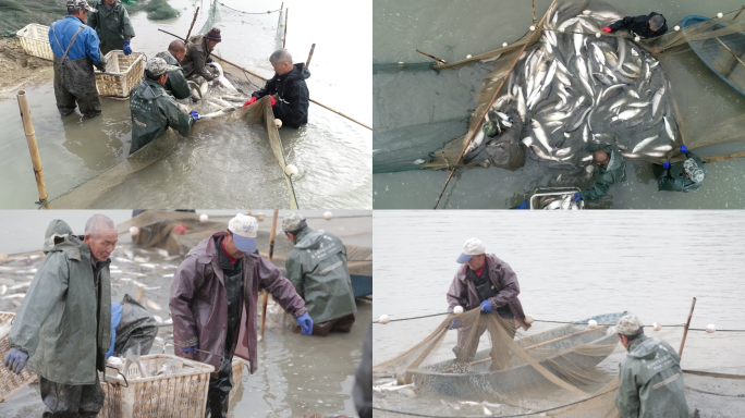 渔民渔网捕鱼收获航拍