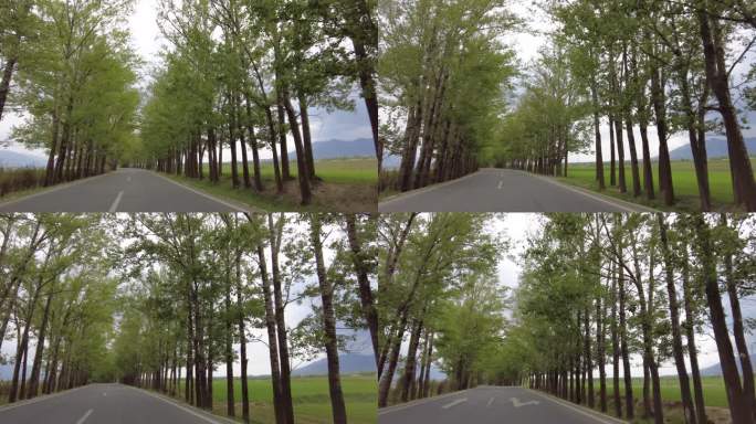DJI_0640